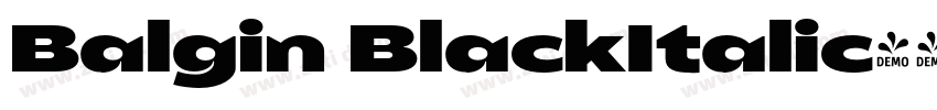 Balgin BlackItalic字体转换